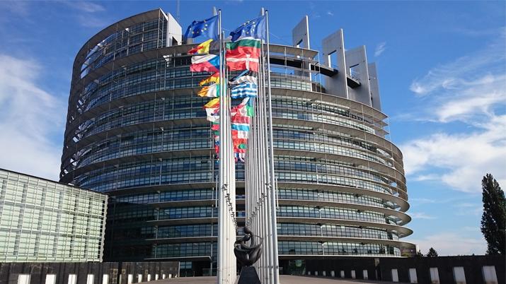 Euroopan parlamentti ja EU-jäsenmaiden lippurivistö