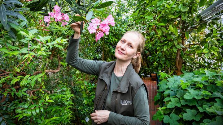 Puutarhuri Pirkitta Puustinen esittelee kukkia Kaisaniemen kasvitieteellisessä puutarhassa.